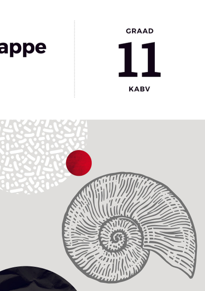 The Answer Series Graad 11 LEWENSWETENSKAPPE 3in1 KABV Studiegids